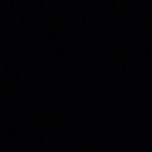 Meet your Posher, Shyloh